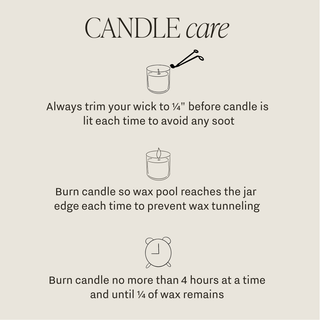 Lavender and Sage 12 oz Candle